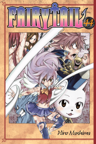 Imagen de apoyo de  Fairy Tail 44