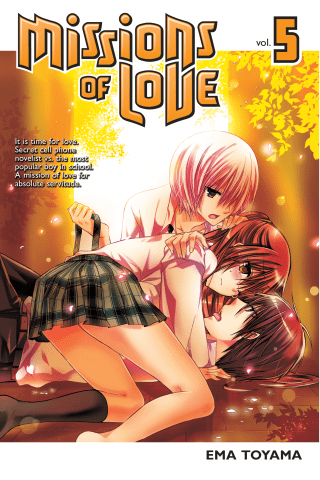 Imagen de apoyo de  Missions of Love 5