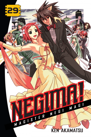Imagen de apoyo de Negima! 29