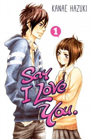 Imagen de apoyo de Say I Love You 1