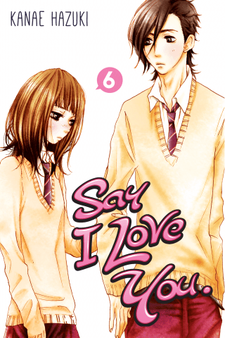 Imagen de apoyo de Say I Love You 6