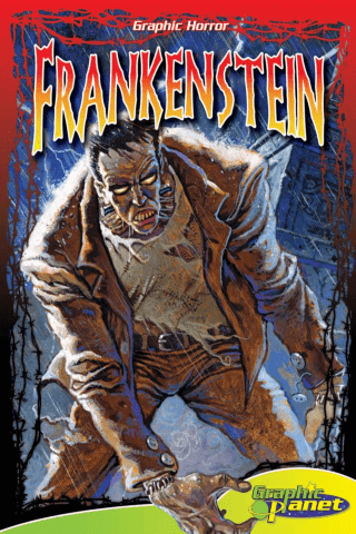 Imagen de apoyo de  Frankenstein