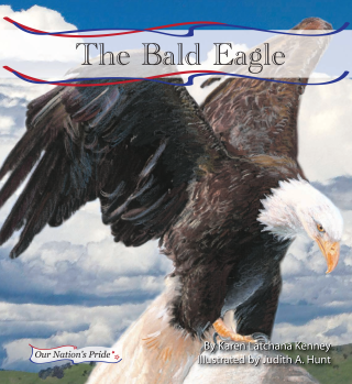Imagen de apoyo de  Bald Eagle