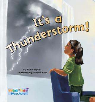 Imagen de apoyo de  It's a Thunderstorm!