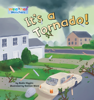 Imagen de apoyo de  It's a Tornado!