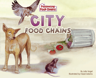 Imagen de apoyo de  City Food Chains