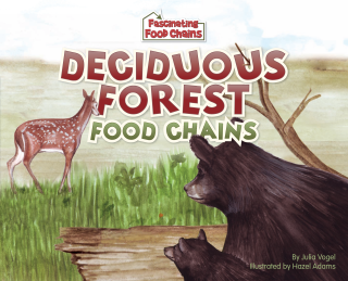 Imagen de apoyo de  Deciduous Forest Food Chains