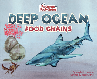 Imagen de apoyo de  Deep Ocean Food Chains