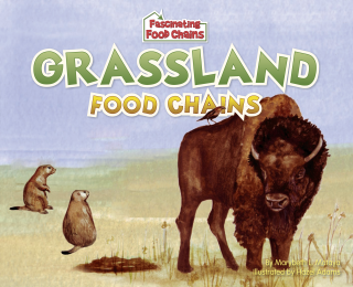 Imagen de apoyo de  Grassland Food Chains