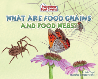 Imagen de apoyo de  What Are Food Chains and Food Webs?