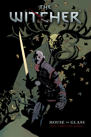 Imagen de apoyo de The Witcher Volume 1