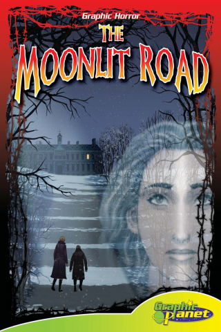 Imagen de apoyo de  Moonlit Road
