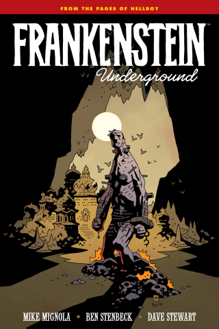 Imagen de apoyo de  Frankenstein Underground