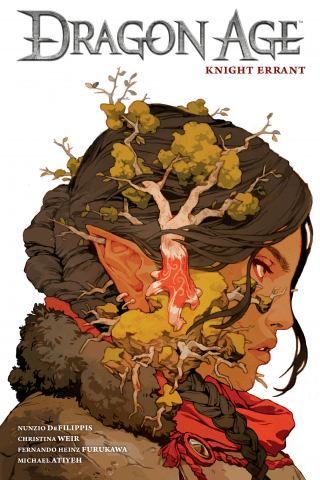 Imagen de apoyo de Dragon Age: Knight Errant