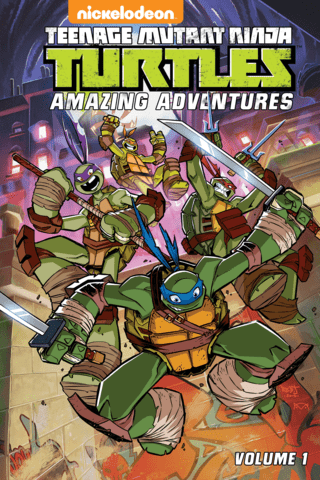 Imagen de apoyo de  Teenage Mutant Ninja Turtles: Amazing Adventures Vol #1