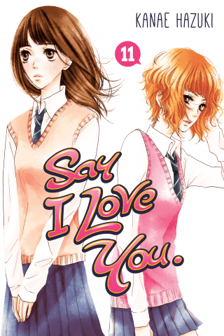 Imagen de apoyo de Say I Love You 11