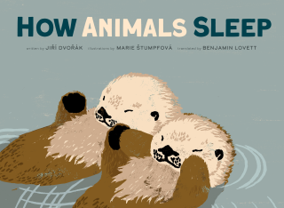 Imagen de apoyo de  How Animals Sleep