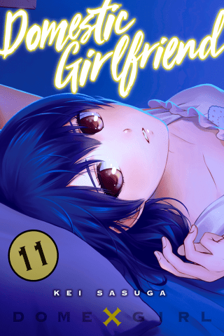 Imagen de apoyo de Domestic Girlfriend 11