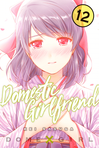 Imagen de apoyo de  Domestic Girlfriend 12