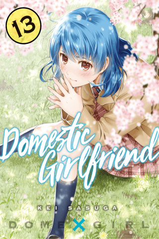 Imagen de apoyo de  Domestic Girlfriend 13