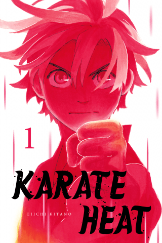 Imagen de apoyo de  Karate Heat 1