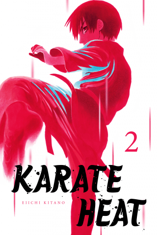 Imagen de apoyo de  Karate Heat 2