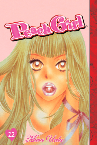 Imagen de apoyo de  Peach Girl 12