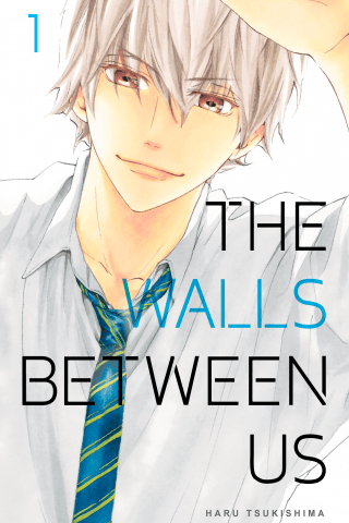 Imagen de apoyo de The Walls Between Us 1