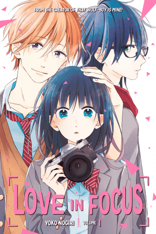 Imagen de apoyo de Love in Focus 1