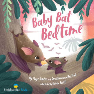 Imagen de apoyo de  Baby Bat Bedtime