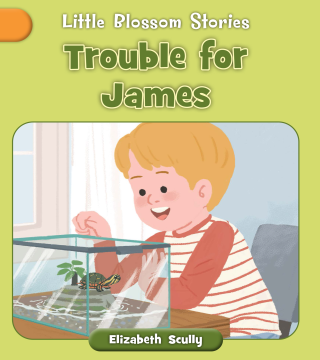 Imagen de apoyo de Little Blossom Stories: Trouble for James