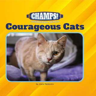 Imagen de apoyo de Courageous Cats