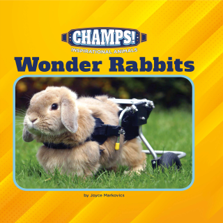 Imagen de apoyo de  Wonder Rabbits