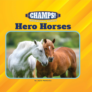 Imagen de apoyo de Hero Horses