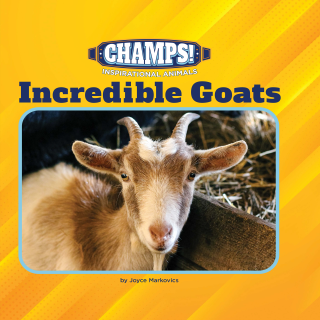 Imagen de apoyo de  Incredible Goats