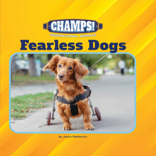 Imagen de apoyo de Fearless Dogs