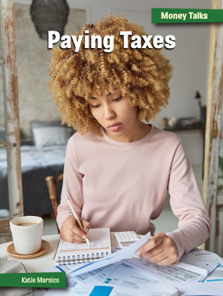 Imagen de apoyo de  Paying Taxes