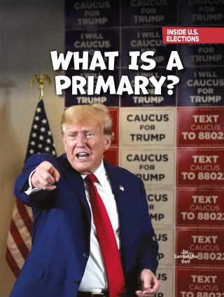 Imagen de apoyo de What Is a Primary?