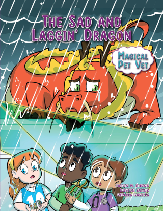 Imagen de apoyo de Magical Pet Vet: The Sad and Laggin' Dragon