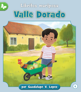 Imagen de apoyo de  Valle Dorado