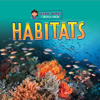 Imagen de apoyo de  Habitats