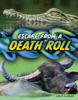 Imagen de apoyo de  Escape From a Death Roll