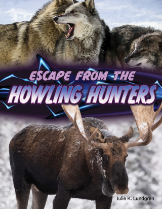 Imagen de apoyo de  Escape From the Howling Hunters