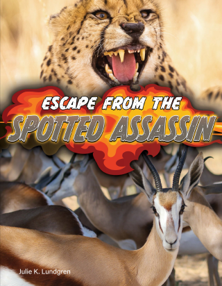 Imagen de apoyo de  Escape From the Spotted Assassin