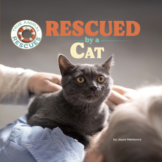 Imagen de apoyo de  Rescued by a Cat
