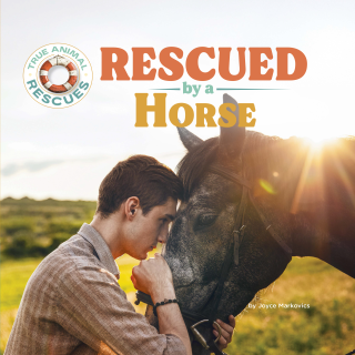 Imagen de apoyo de  Rescued by a Horse