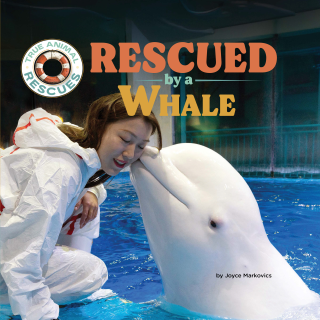 Imagen de apoyo de  Rescued by a Whale