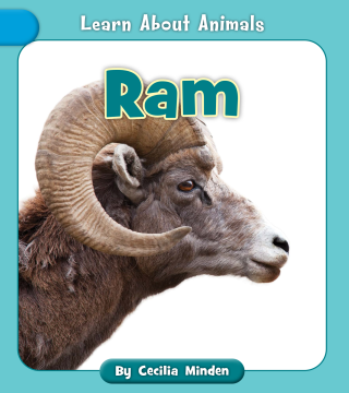 Imagen de apoyo de  Ram