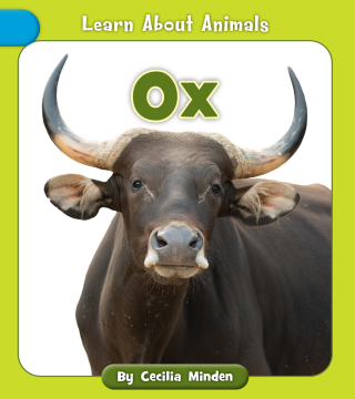 Imagen de apoyo de  Ox
