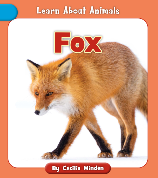 Imagen de apoyo de  Fox